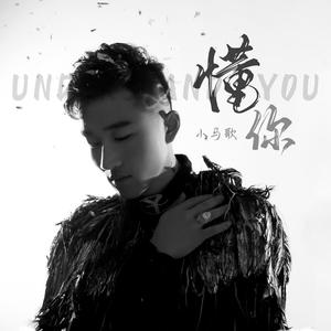 懂你 (小马歌版)
