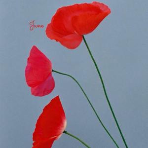 June