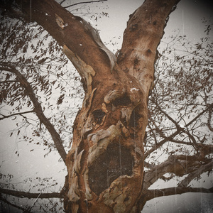 Wind and Ghosts