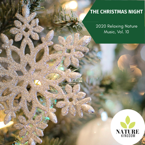 Exalted Chimes of Rain Droplets