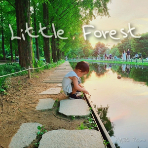 초록의 작은 숲 (Little Forest)