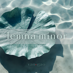 Lemna Minor