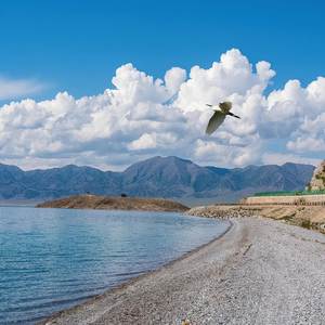 赛里木湖有你我命中注定的邂逅