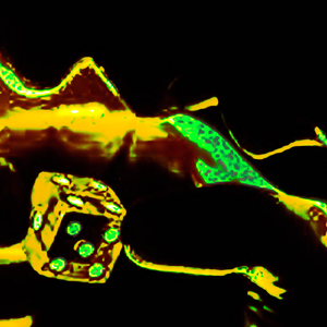 Gamble