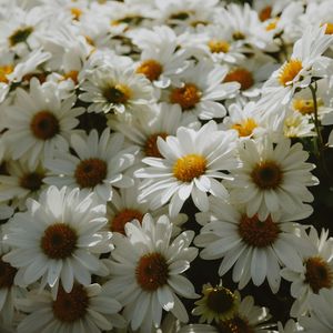 周杰伦style“一直陪着你” pop beat