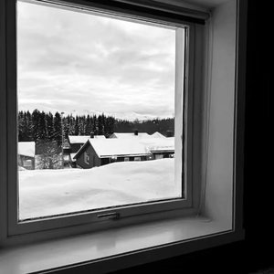 落叶成为碎纸机