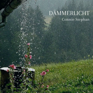Dämmerlicht
