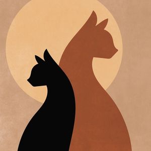 旧照片里的夏天