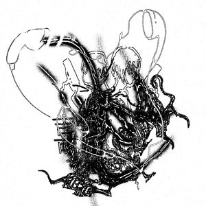 喜欢我，讨厌我