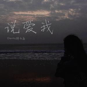 说爱我