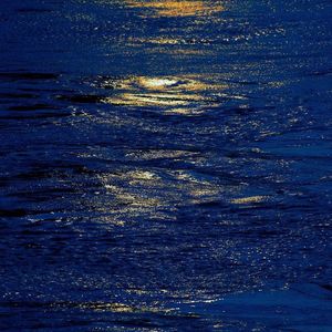 疲梦-For the free world