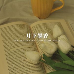 夜晚的阅读之旅 (解压 学习)