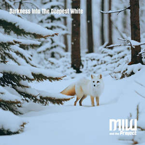 Darkness Into The Deepest White