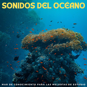 Melodías Para Un Estudio Consciente