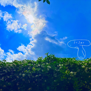 War Is A Hell Of A Drug