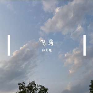 飞鸟