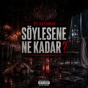 Söylesene Ne Kadar ?