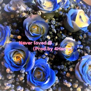 Never loved 你 (Prod.by 4Harry)