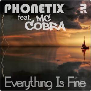 Everything Is Fine (feat. MC Cobra)