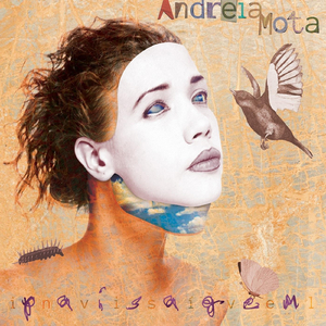 Guardanapos De Papel