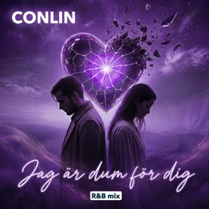 Jag är dum för dig (R&B mix)
