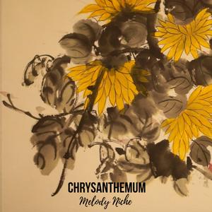 Chrysanthemum