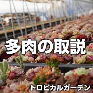 多肉の取説