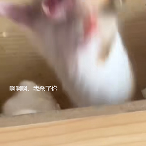 让我们勇往直前