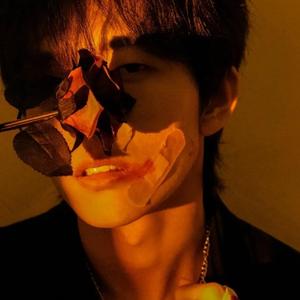 你从未离去(万人和唱版)