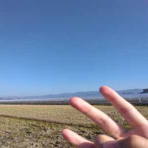 エレクトロルミネッセンス笑笑