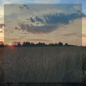 Palimpsest (excerpt 2)