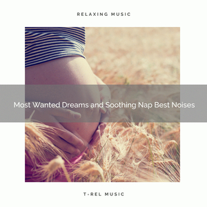 Get Total Relax with Dreamy Sounds and White Noise