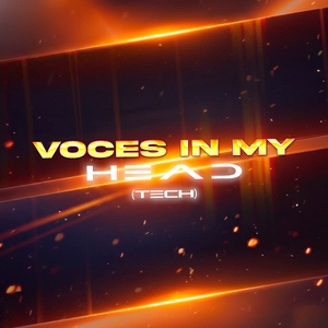 Voices In My Head (Tech)
