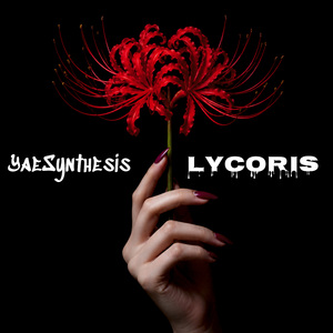 Lycoris
