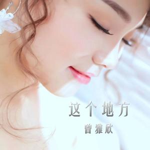 这个地方