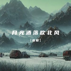 月光洒落吹北风