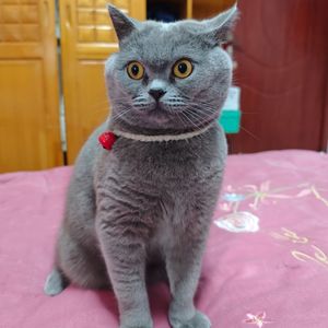 c754e938b0807cc9c678dd10f8f190f2