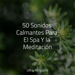 Sonidos Aromáticos