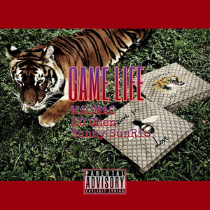 Game Life