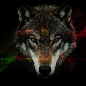 Expeditious（迅捷响应）