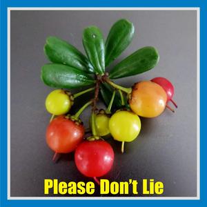 Please Don't Lie