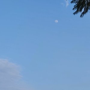 你问我今天地上落满了叶子算不算浪漫