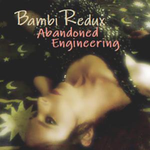 Never Gonna Let It Go