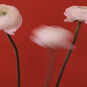 爱你（想变成你的氧气 Oh）