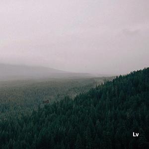 fog