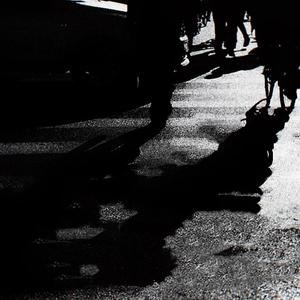 fell onto the ground