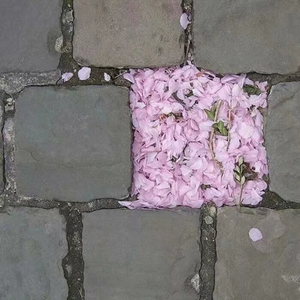 年少不可及之物