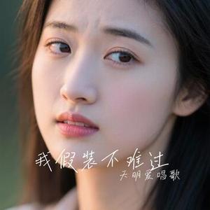 我假装不难过(Cover 大头针)