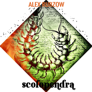 Scolopendra