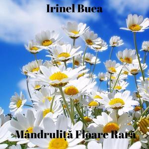 Mândruliță Floare Rară